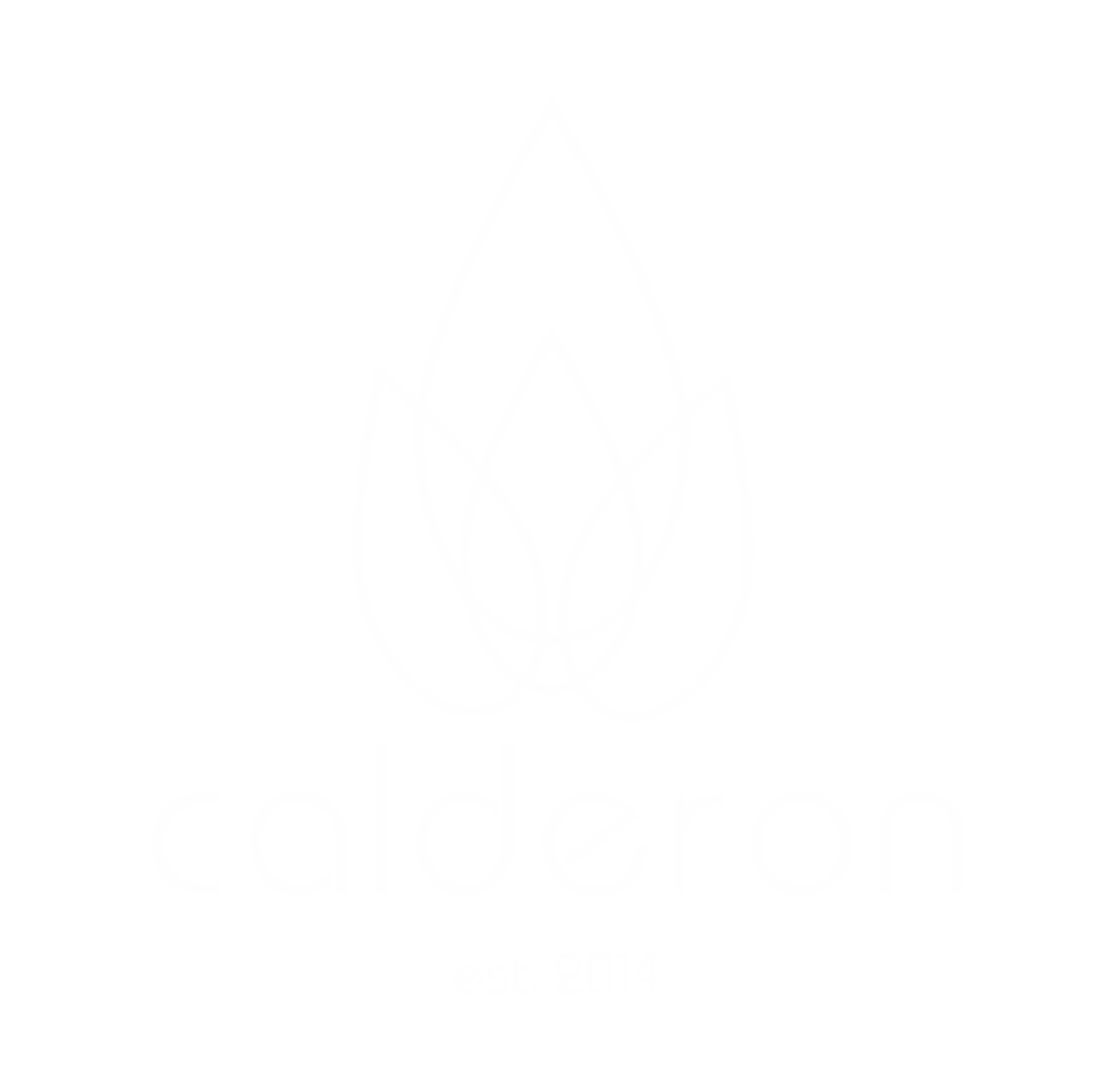 Calderon coffee and more